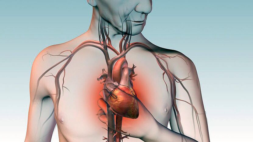 Dor baixo o omóplato e dores por detrás do esterno nas enfermidades cardíacas